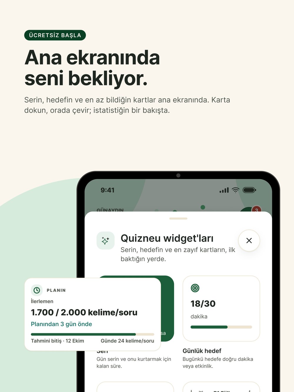 Ana Ekran Widget'ları
